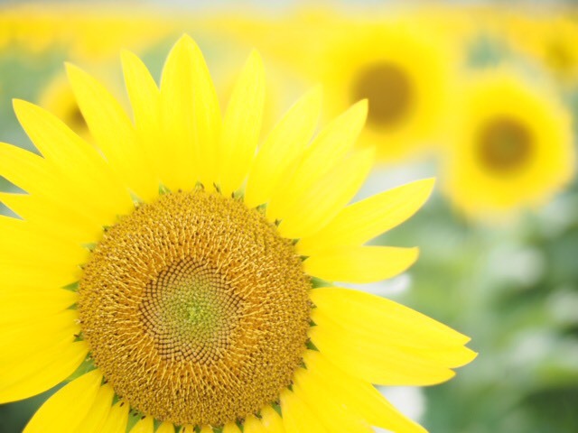 20160718093912.jpg