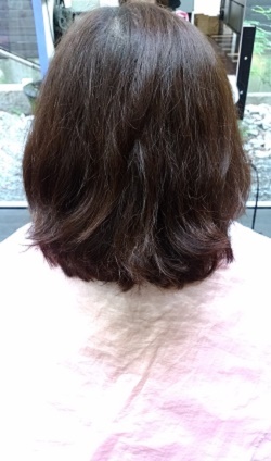 20170720.jpg