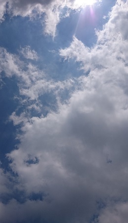 DSC_0393.JPG