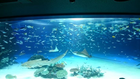 DSC_0463.JPG