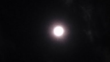 DSC_0541.JPG