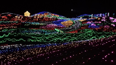 DSC_1486.jpg