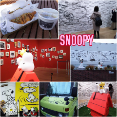 sno.png